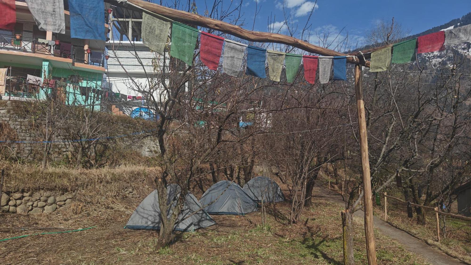 Basecamp Manali Vandrarhem Rum bild